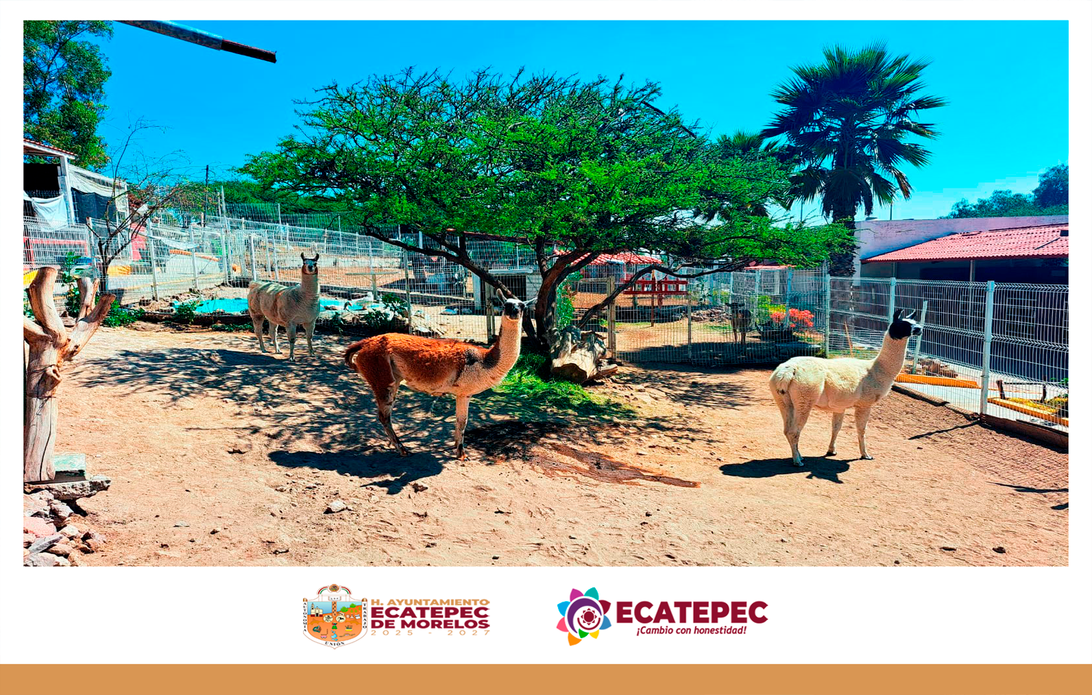 Ecatepec de Morelos