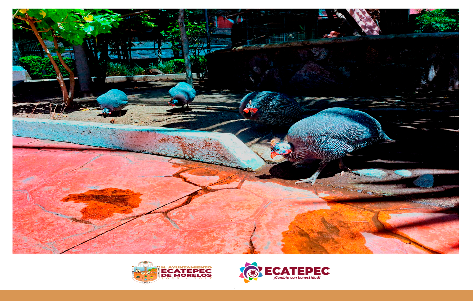 Ecatepec de Morelos