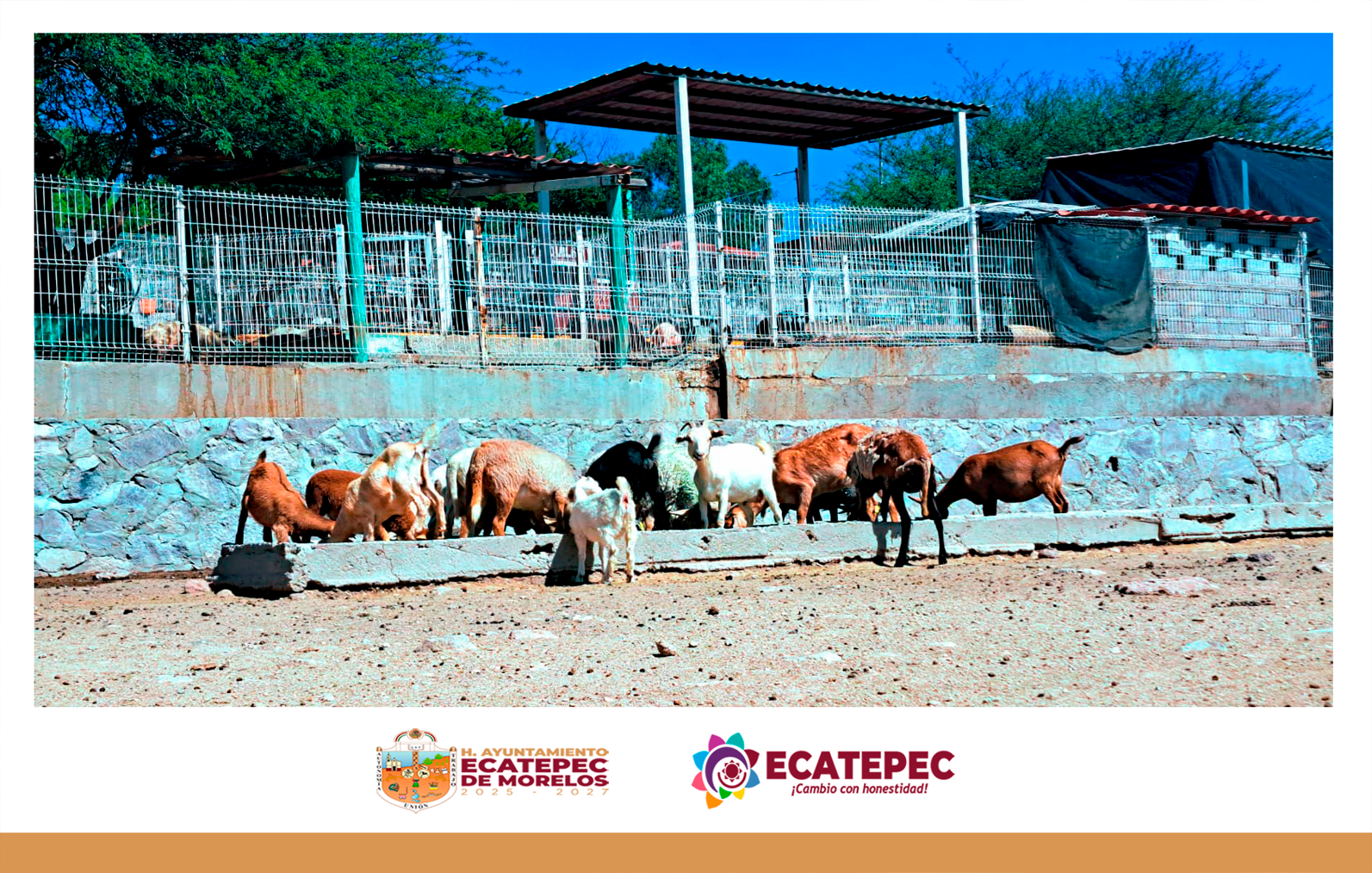 Ecatepec de Morelos
