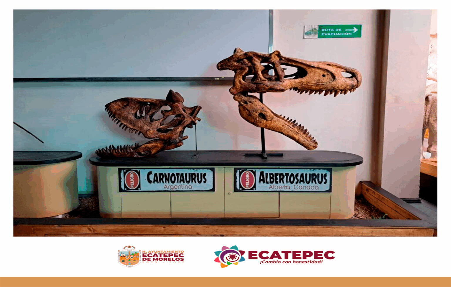 Ecatepec de Morelos