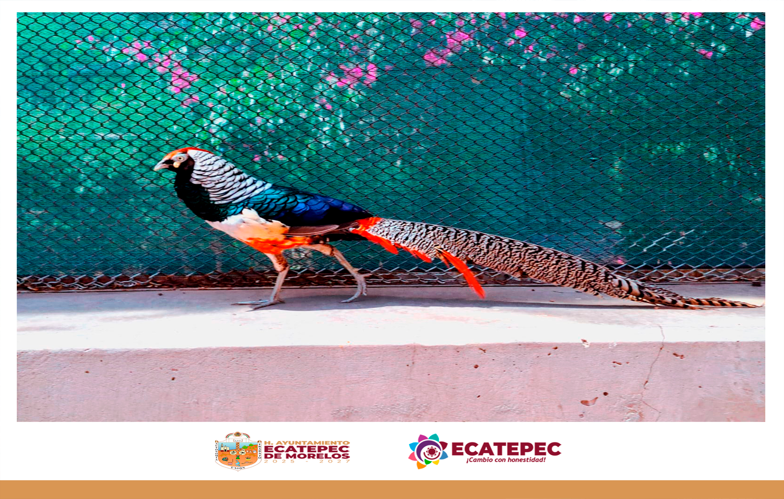 Ecatepec de Morelos