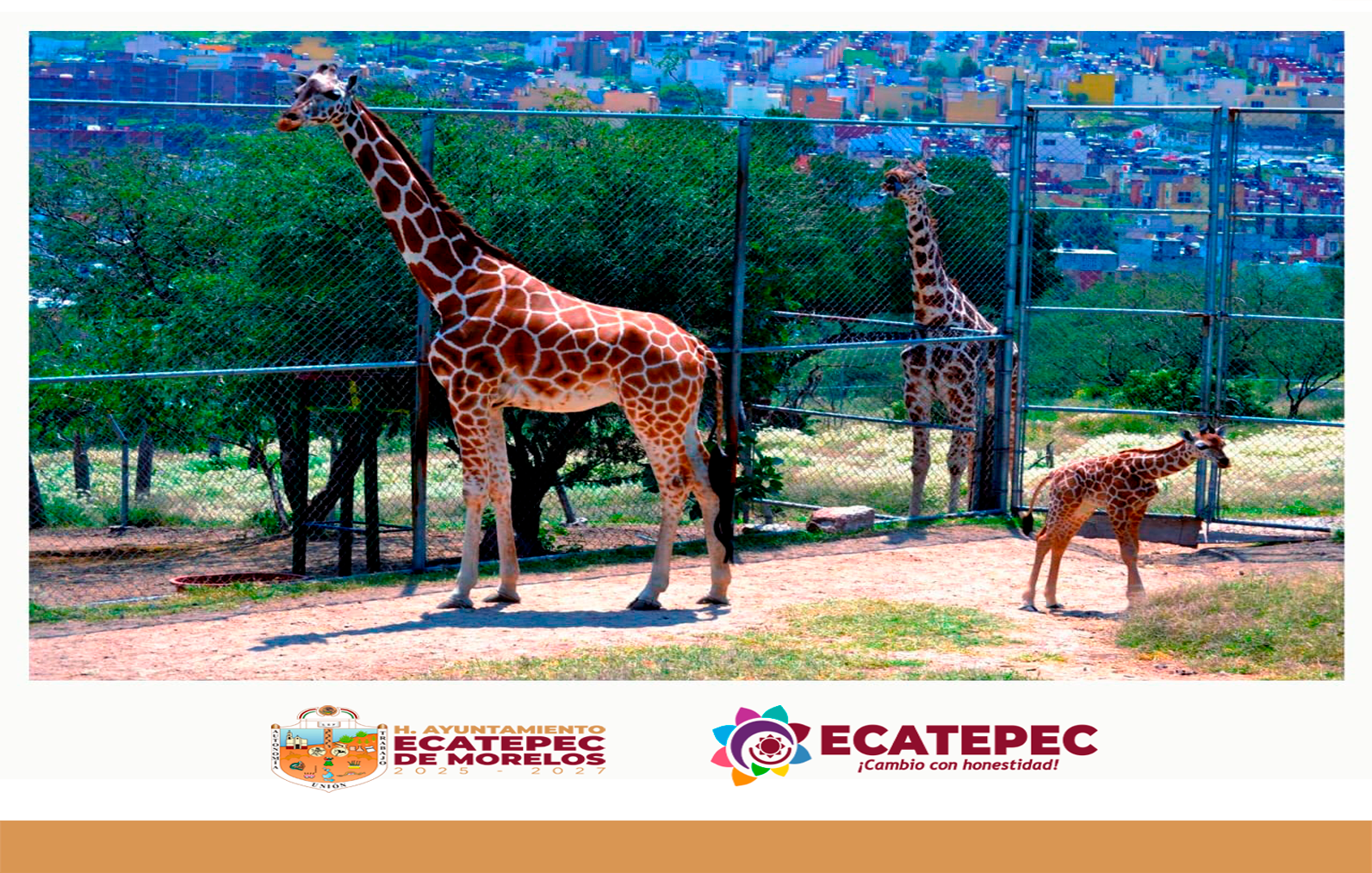 Ecatepec de Morelos